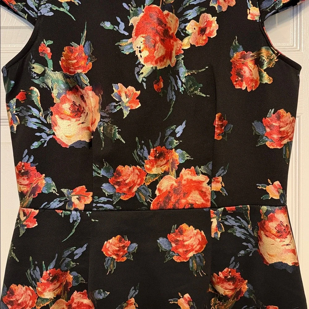 Olivia Matthews Black Red Dress 14 Rose Floral Moody Romantic Goth Noir